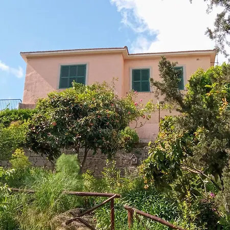 Antico Gelso 펜션 *