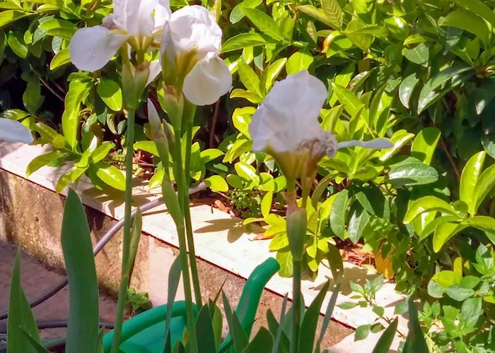 Dom wakacyjny Antico Gelso