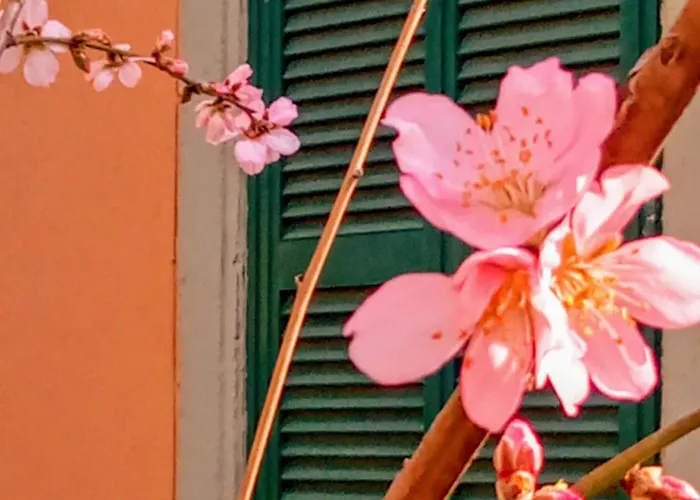 Dom wakacyjny Antico Gelso